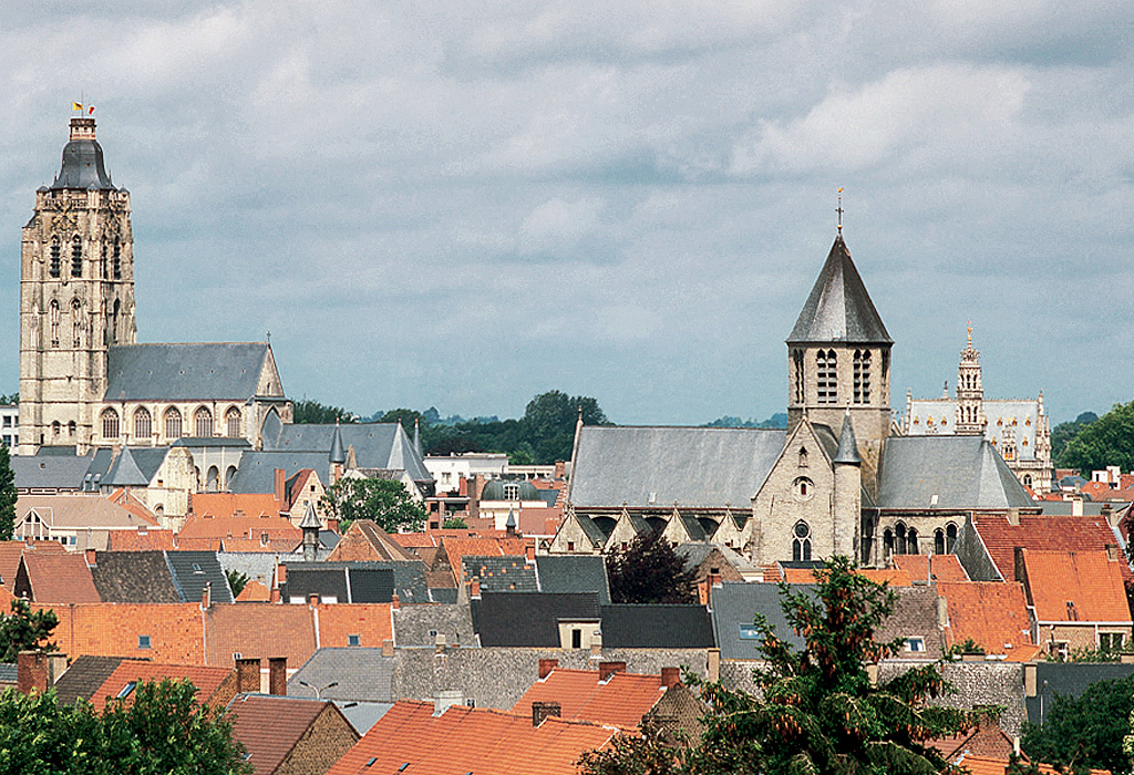 OUDENAARDE, St Walburg's church, church of Our Lady of Pamele and the town hall
