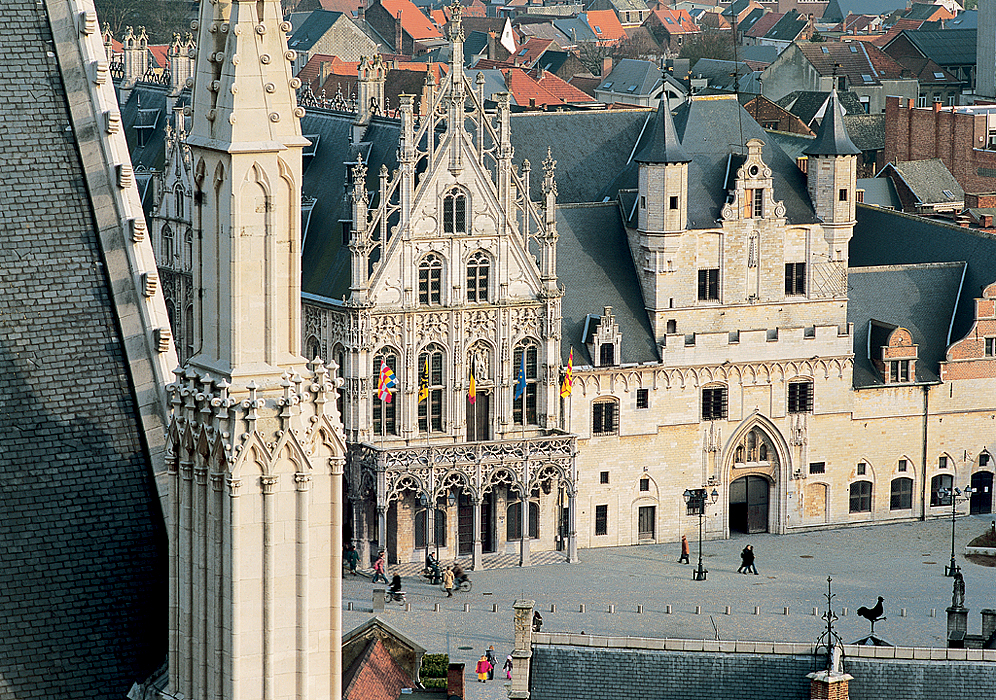 MALINES, vue depuis la tour de la cathédrale, hôtel de ville