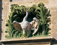 Brussels, Cygne or Swan, Grand Place.