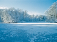 Brussels, Bois de la Cambre