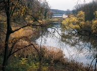 Brussels, Soignes Forest