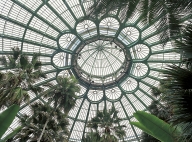 BRUSSELS, Laeken greenhouses