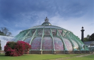 BRUSSELS, Laeken greenhouses